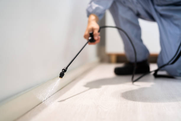 Rodent Entry Point Assessment in Hacienda Heights