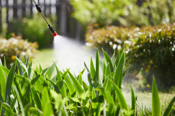 Tamper-Resistant Bait Stations for Rodents in Hacienda Heights