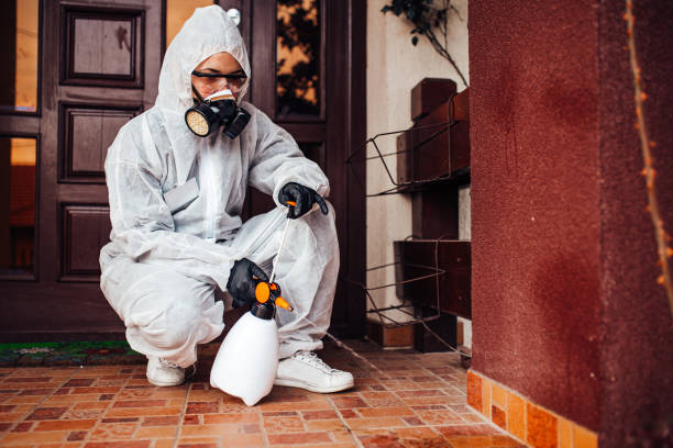 Attic and Crawl Space Rodent Treatment in Hacienda Heights